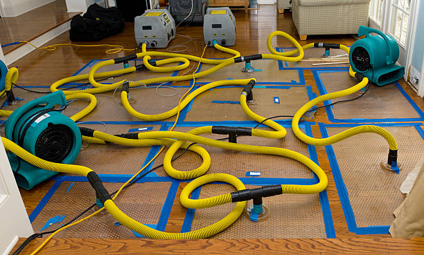 Professional Basement Flood Cleanup technician working in Glen Flora, TX